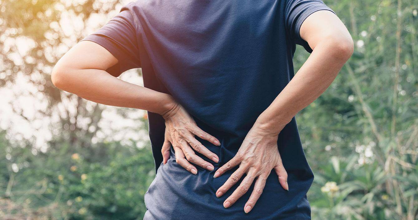 solve back pain using whole body vibration